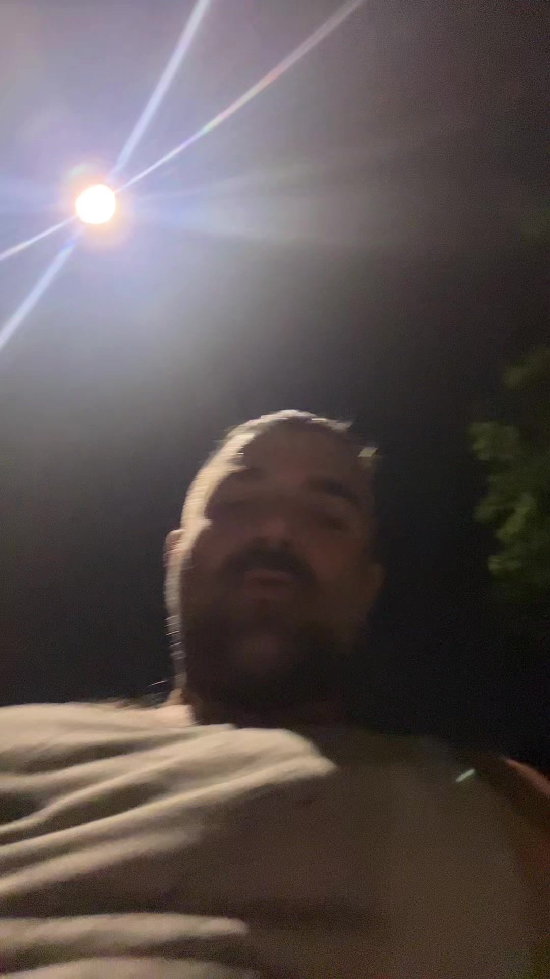 @bearfluence
