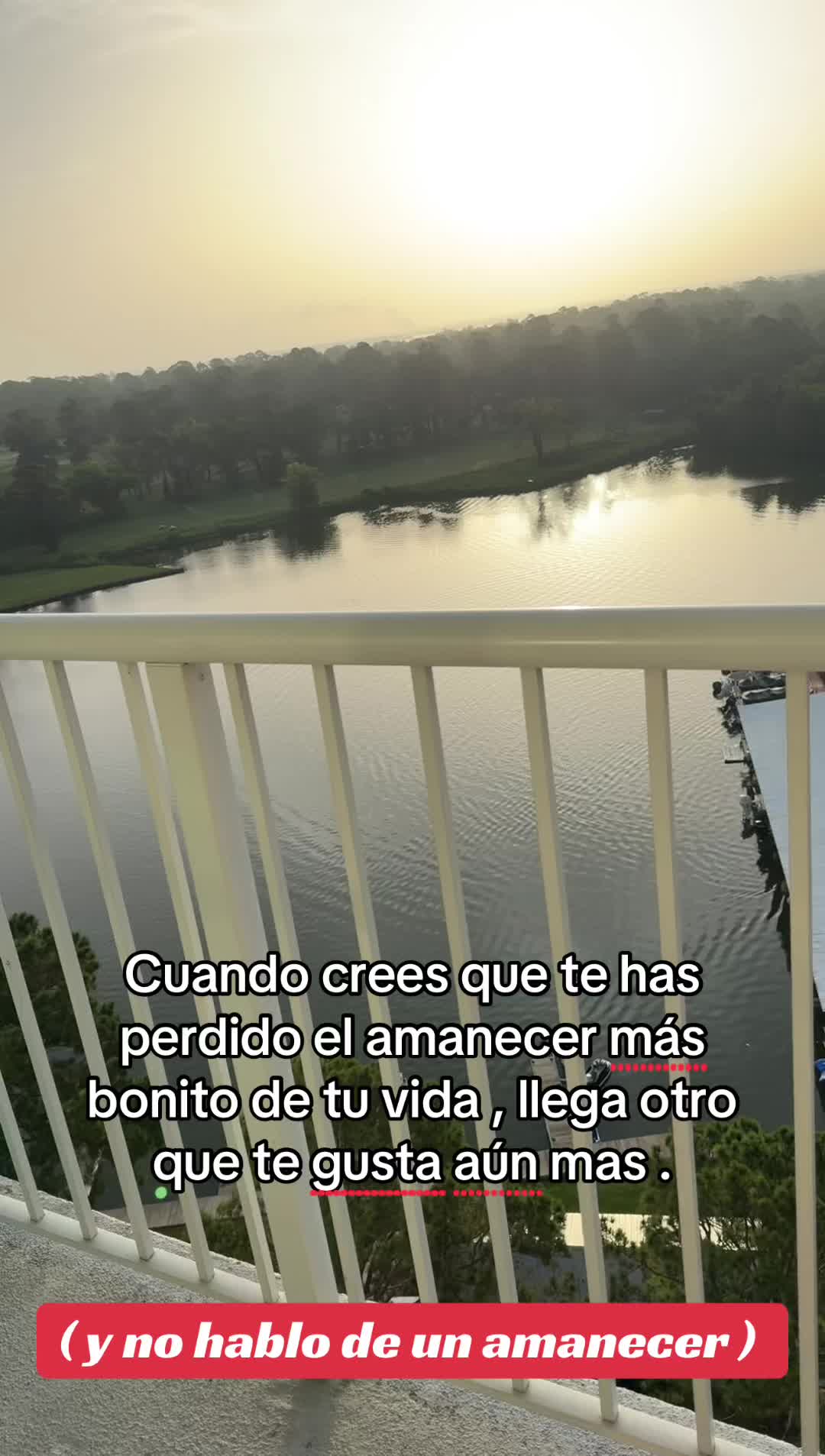 @Berenice Avalos