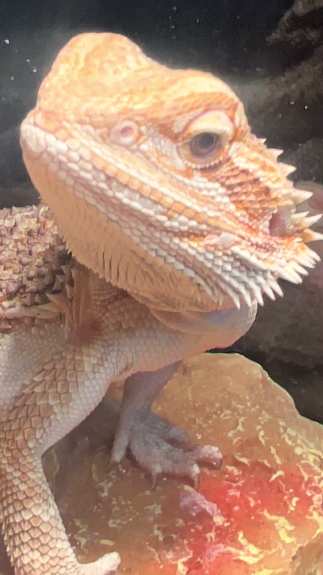 @Maria