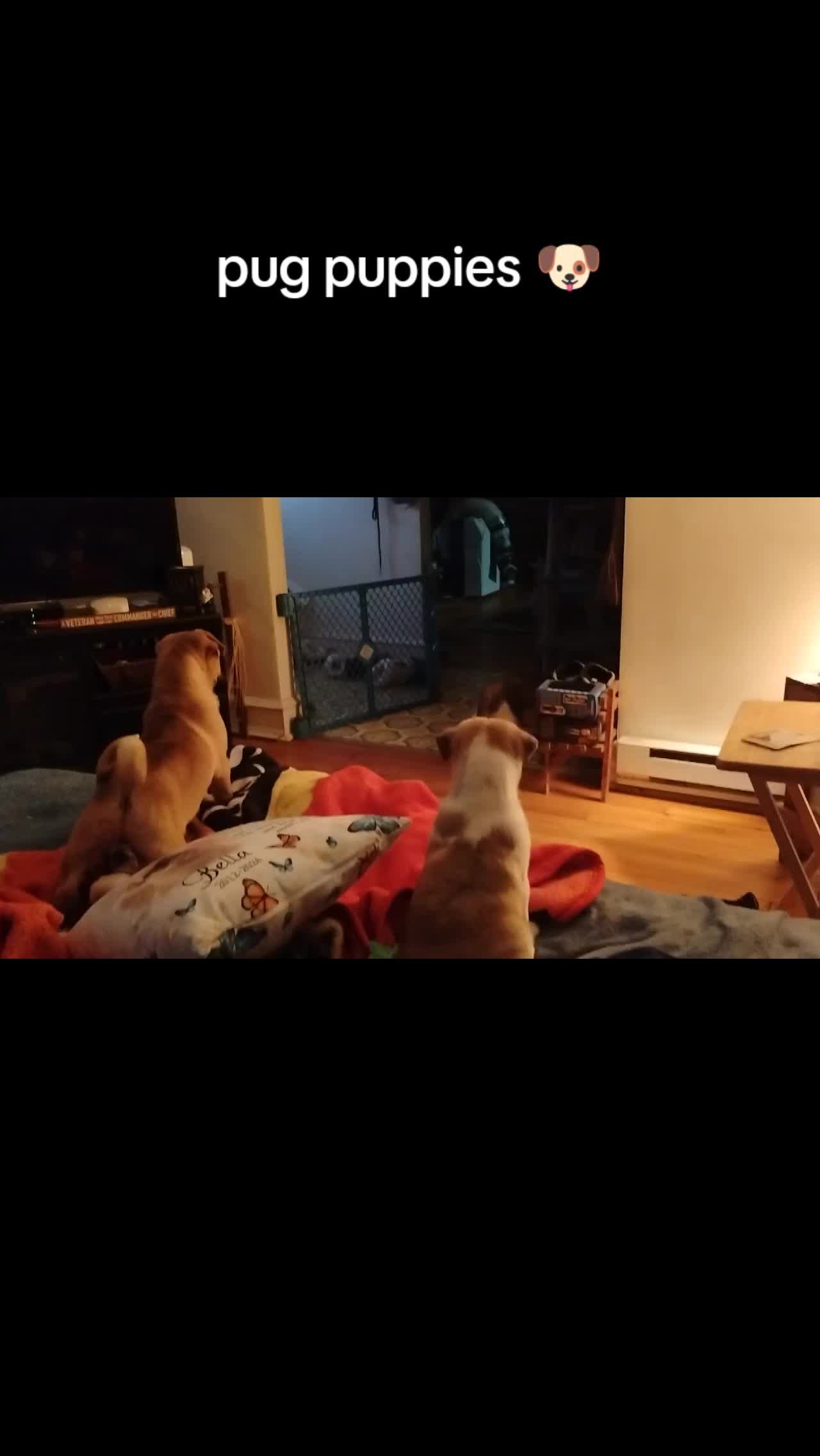@Debbie1983