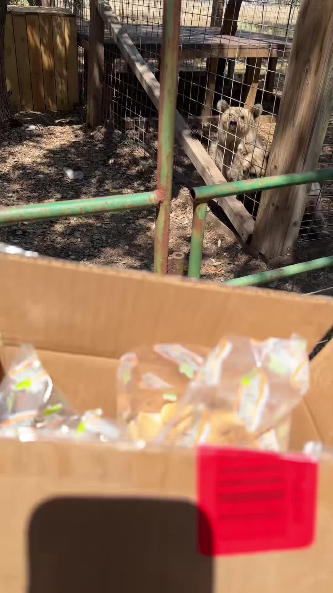 @Texas Wildlife Park