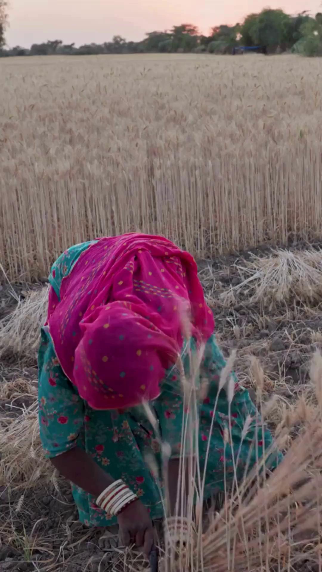 @Spice Girls of Rajasthan