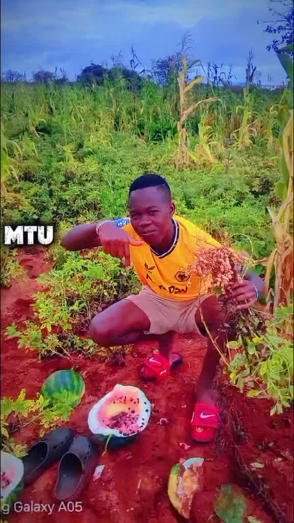 @Noel Mathayo04