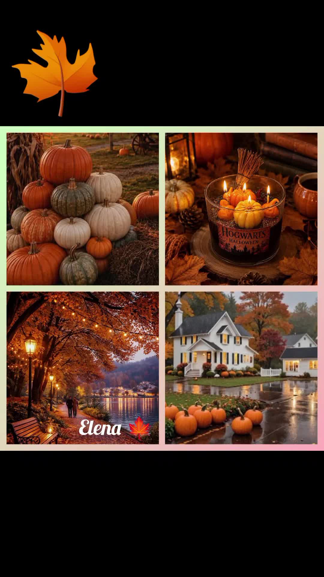 @Elena L885