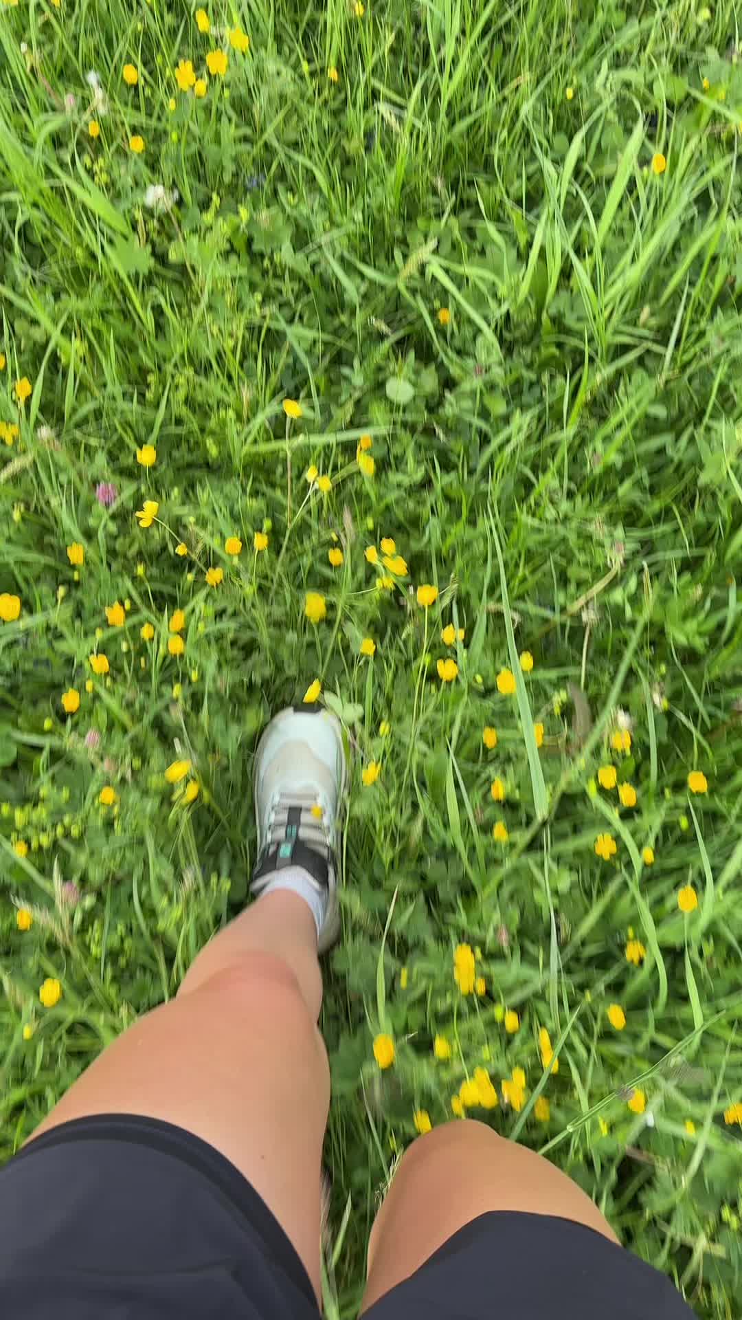 @Les 2 HS ⛰️
