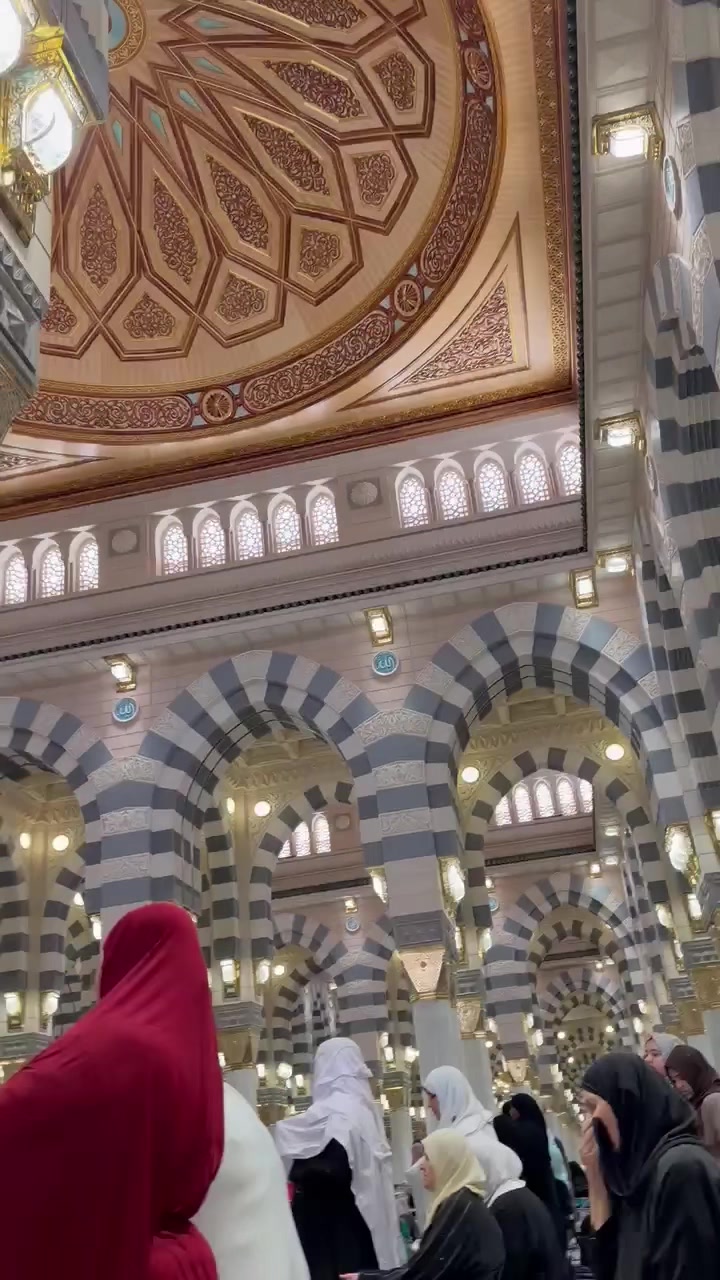 @Sidra Amin 31