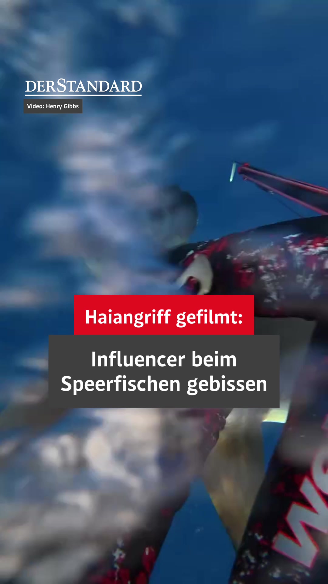 @DER STANDARD News