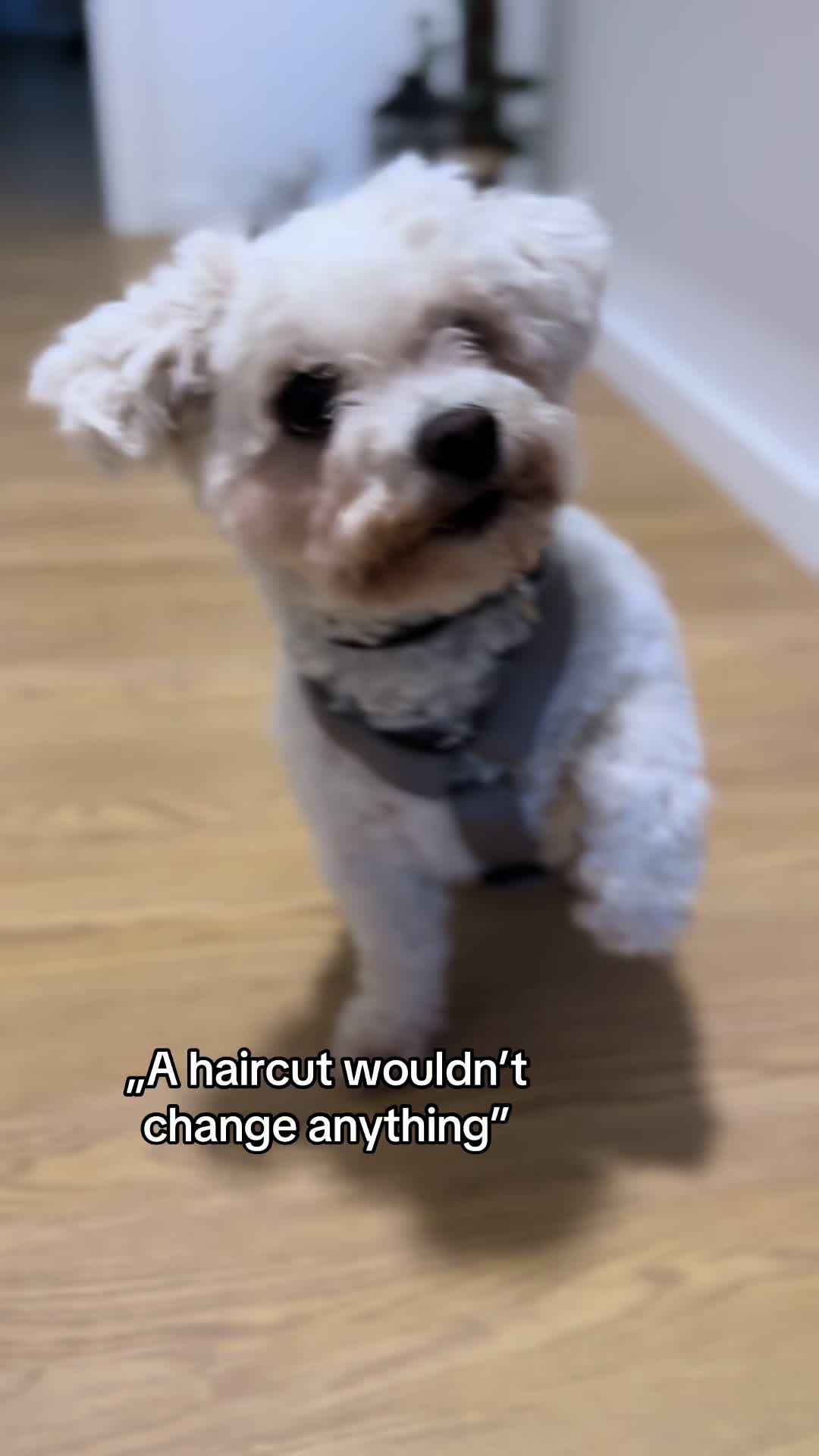 @❥𝒩𝒾𝓃𝒶ꨄ&rsquo;