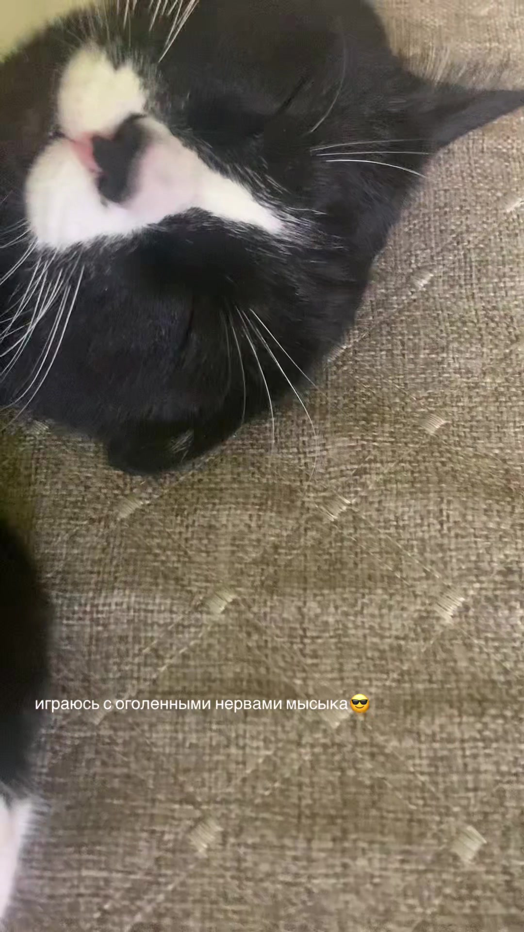 @s10Loverr