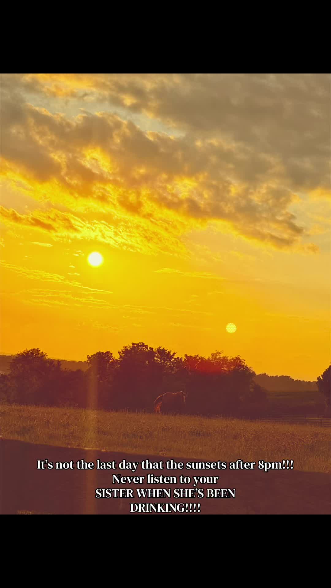 @Danigurl🦮🏇🌅