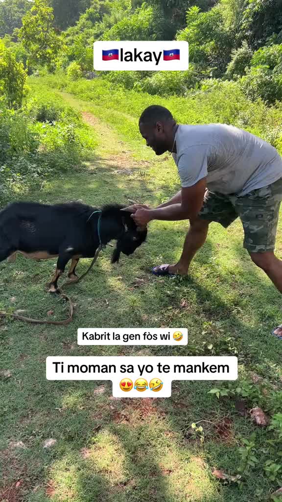 @KÒMANDAN ZEKO
