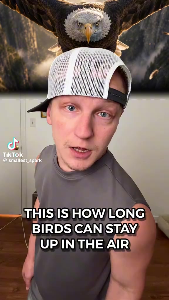 @partohtrap