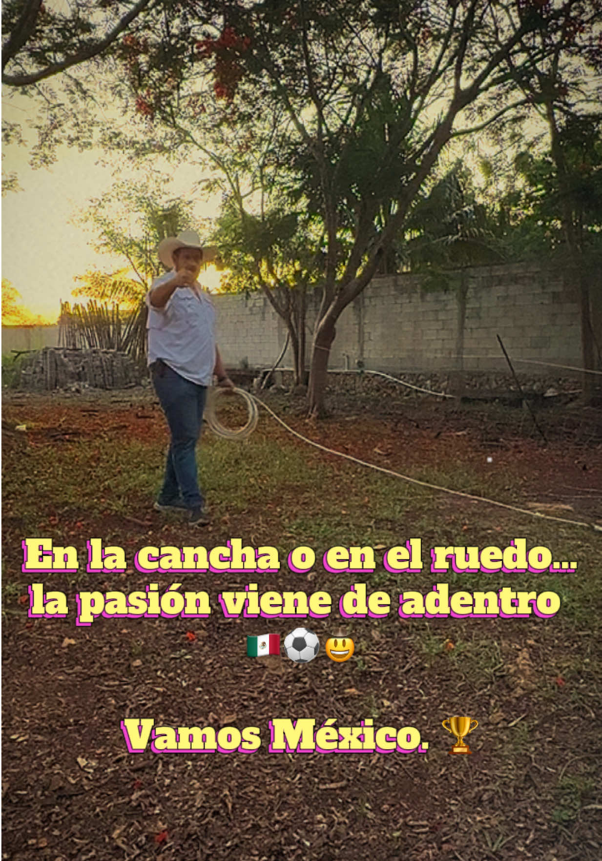 @José Ramón Medina