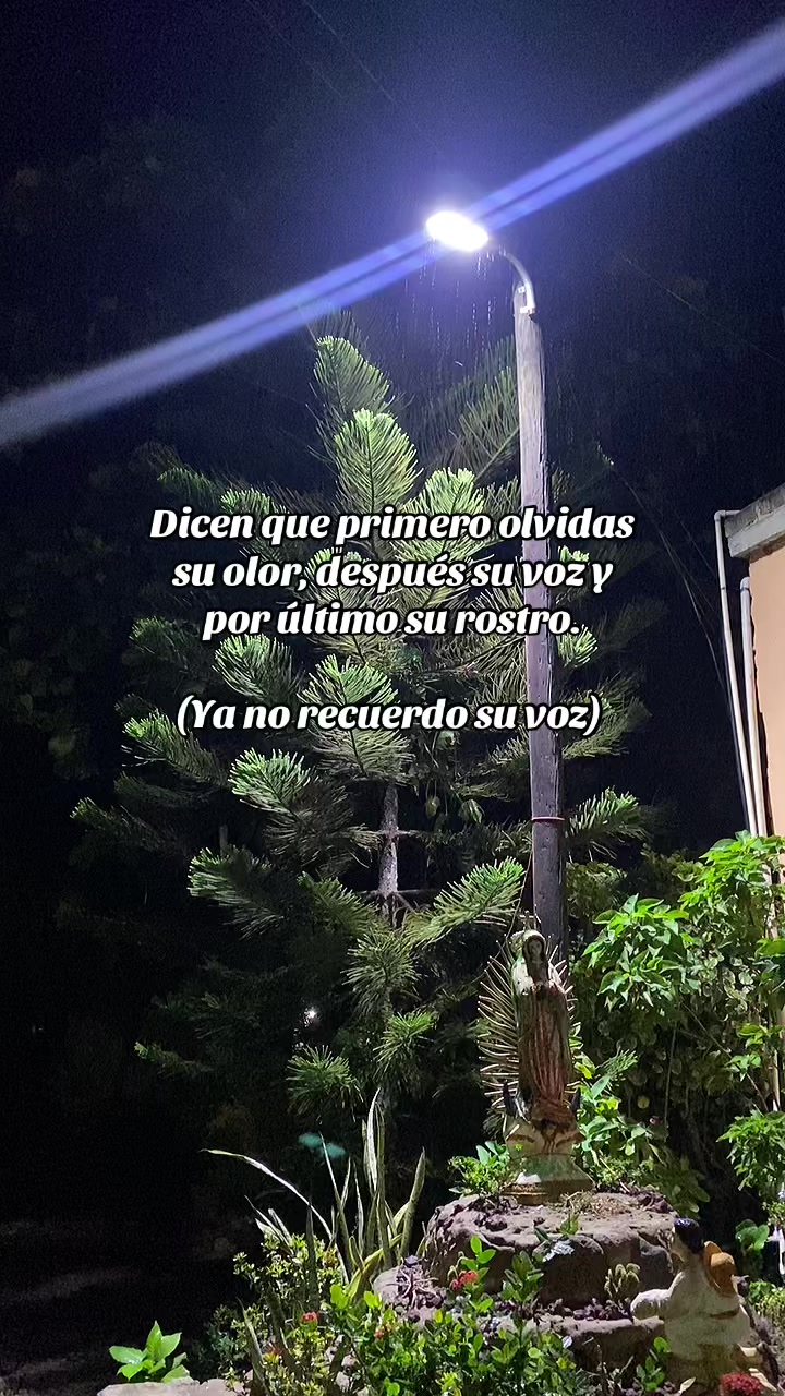 @Tasho Manzo