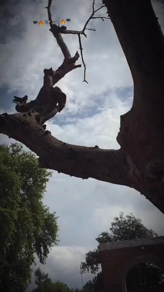 @🏴🔥 بدری ۳۱۳ 🔥🏴
