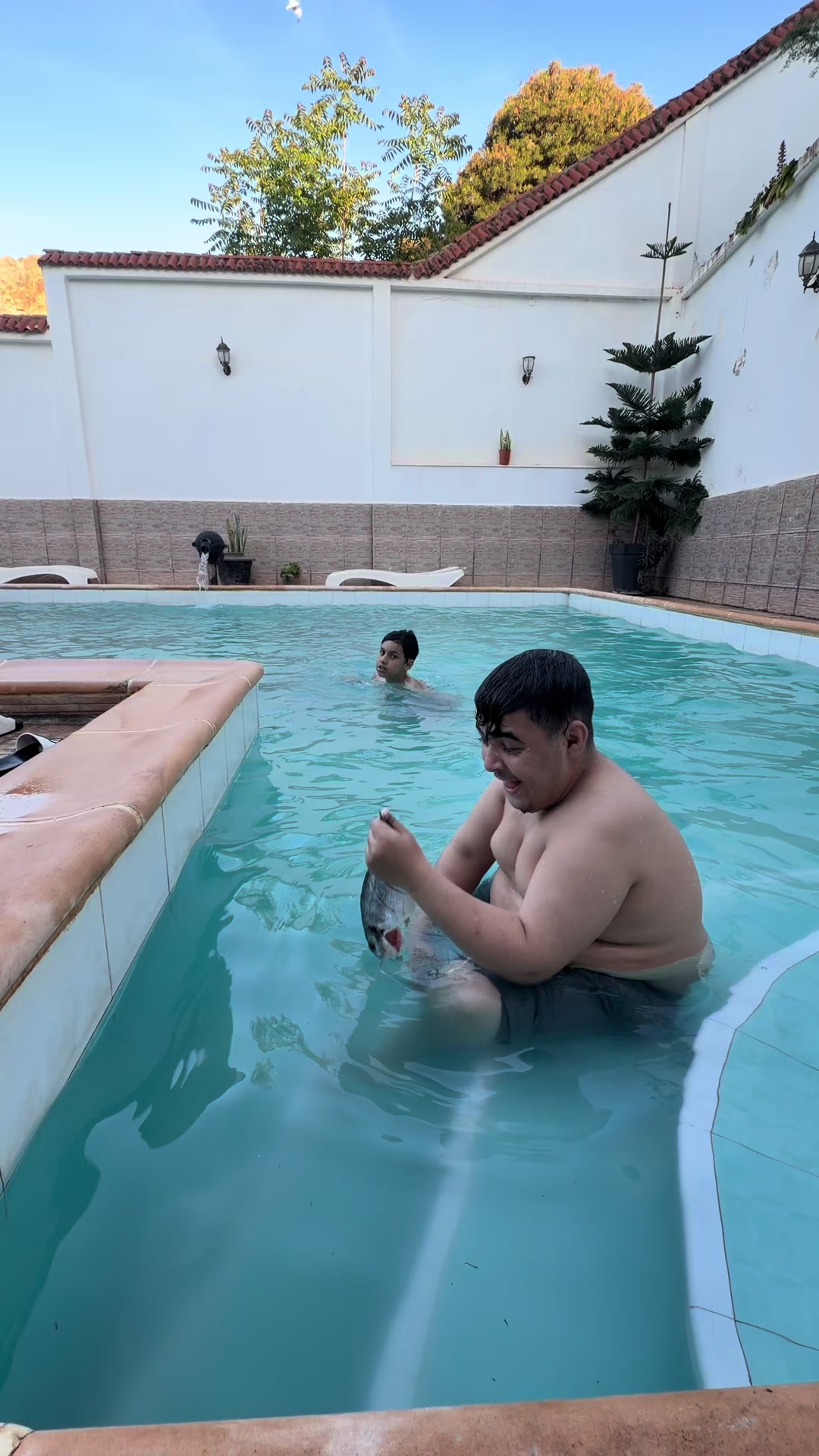 @hmida العمدة 🦡