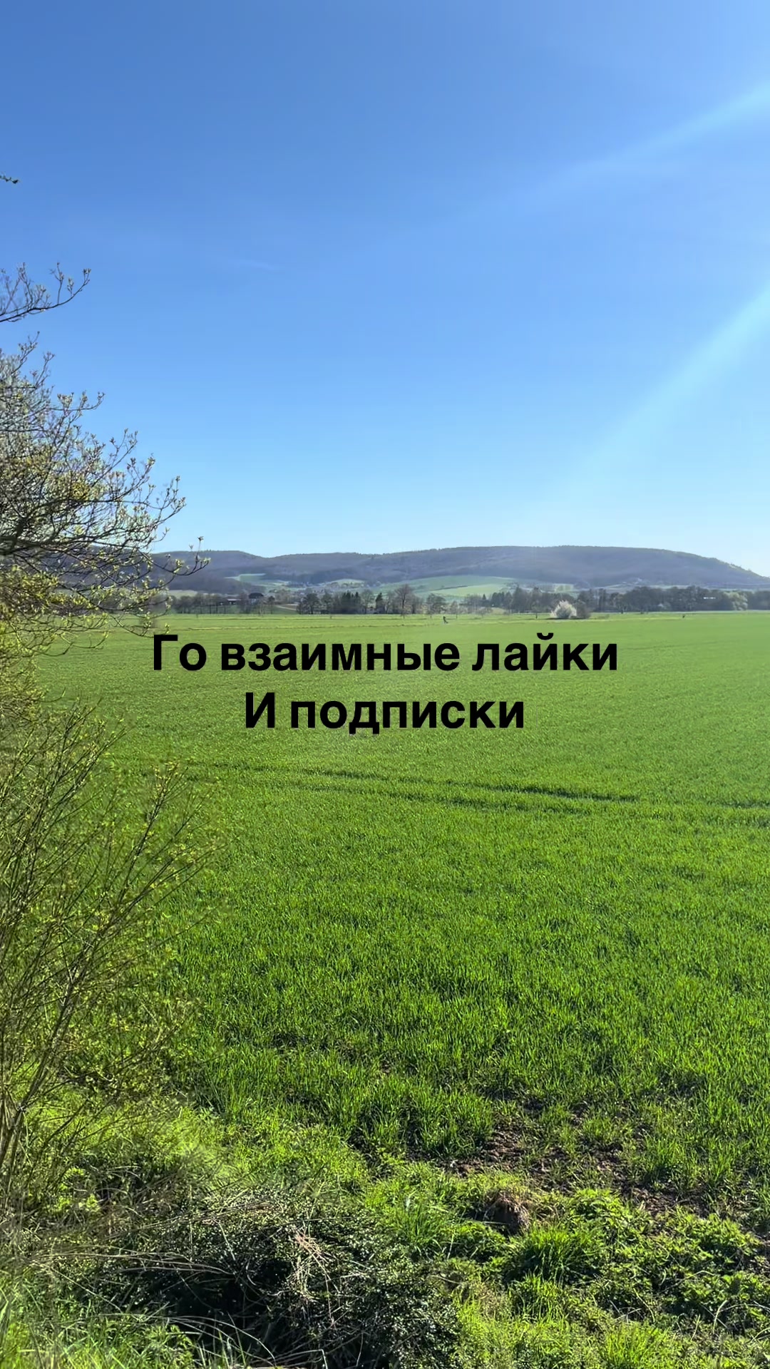 @Execut1337