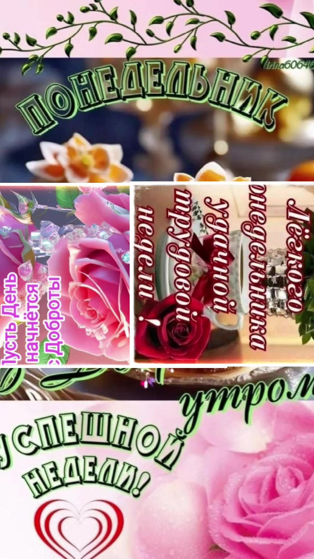 @zulfimysaivna