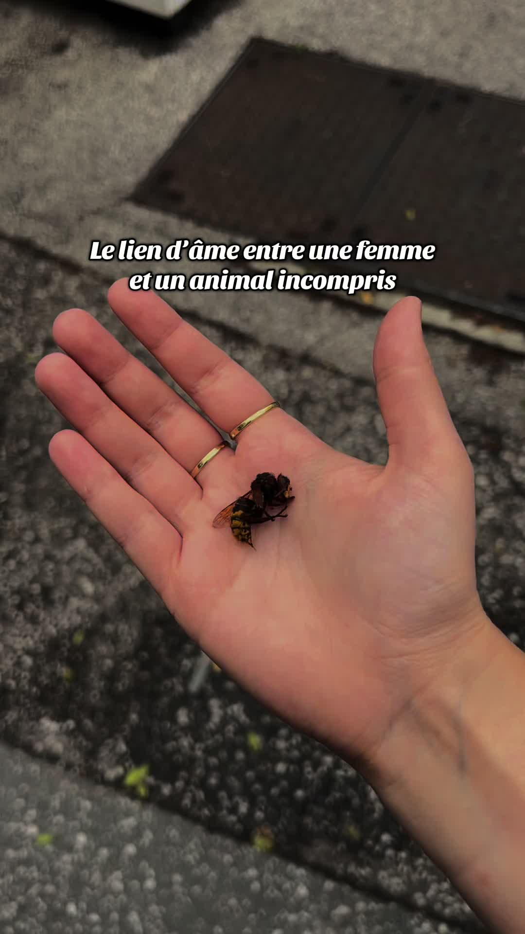 @Am🪲🎀