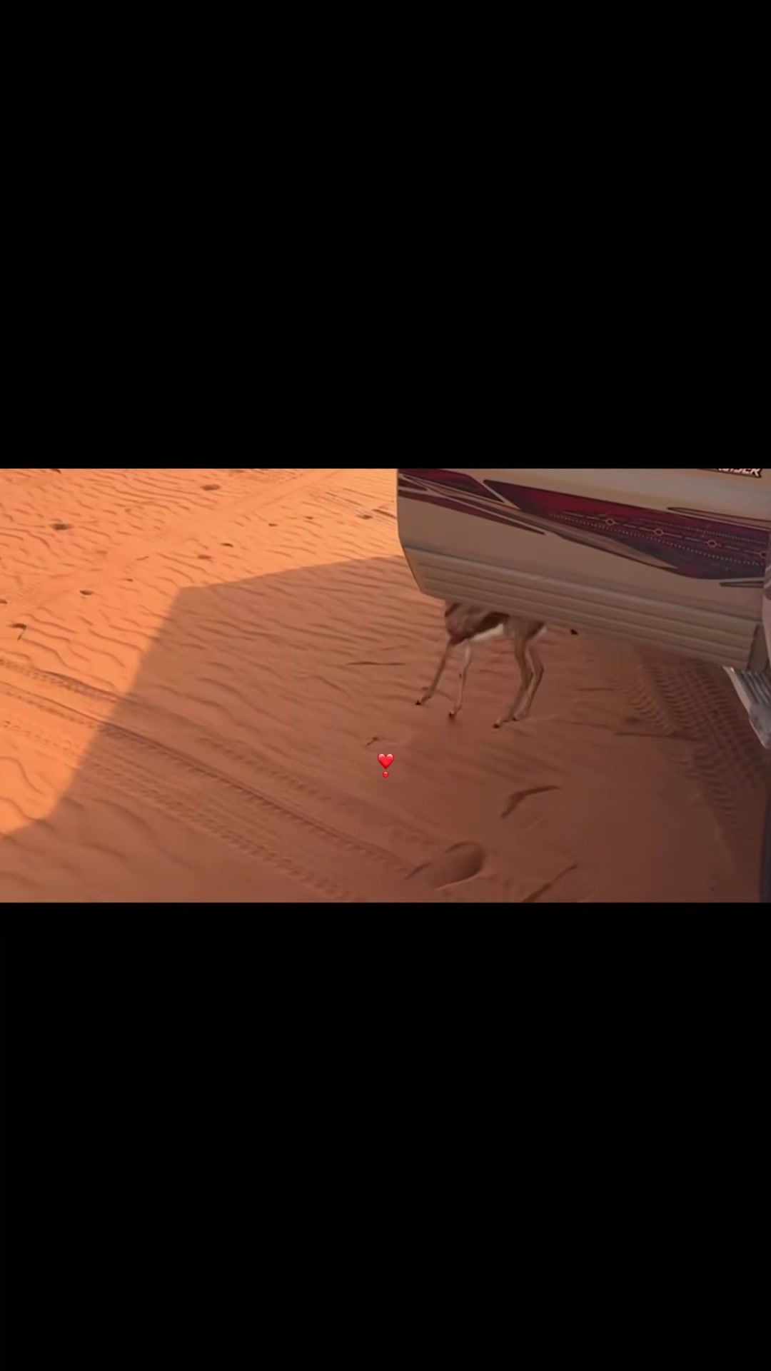 @سـويّـــر