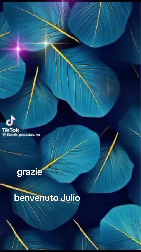 @Ginevra Bakic