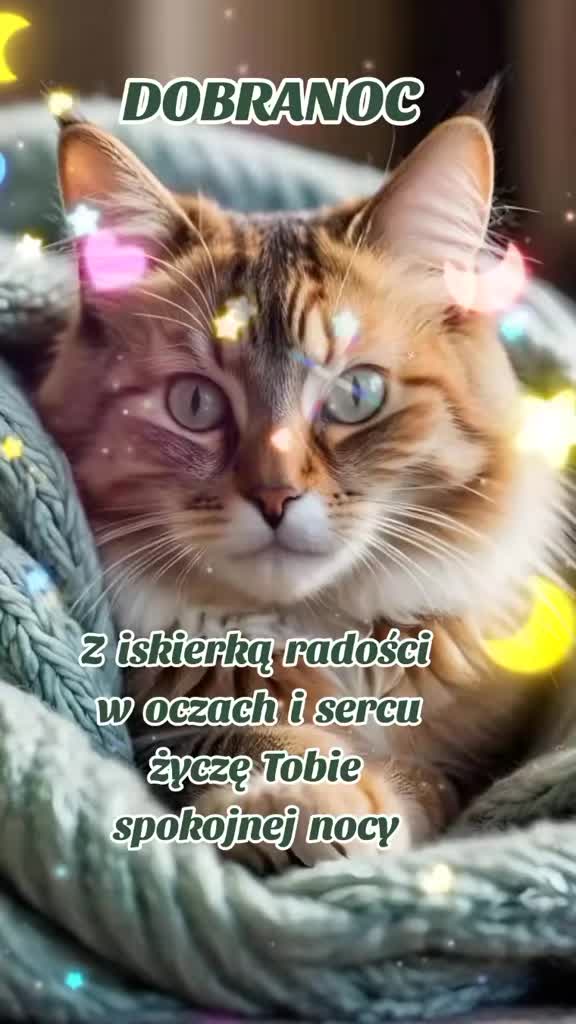 @🍃🪻Jolanta🪻🍃