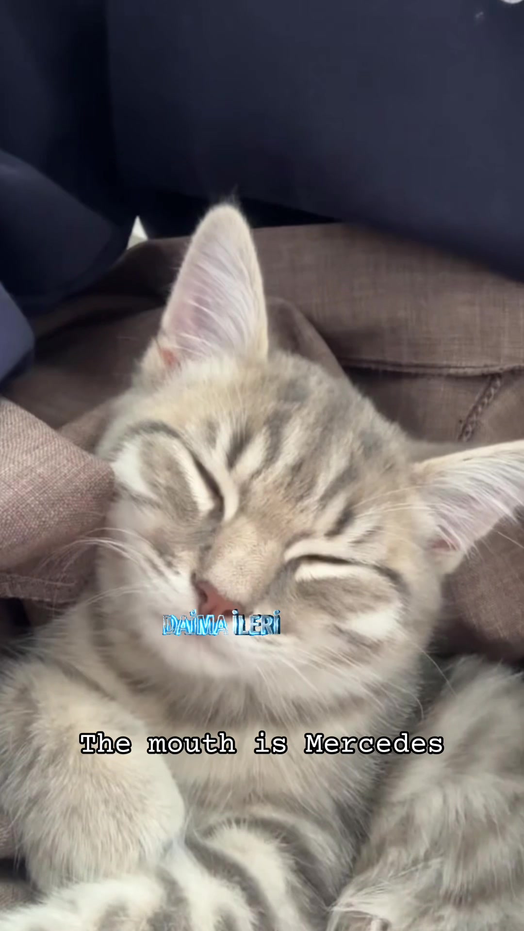 @katze