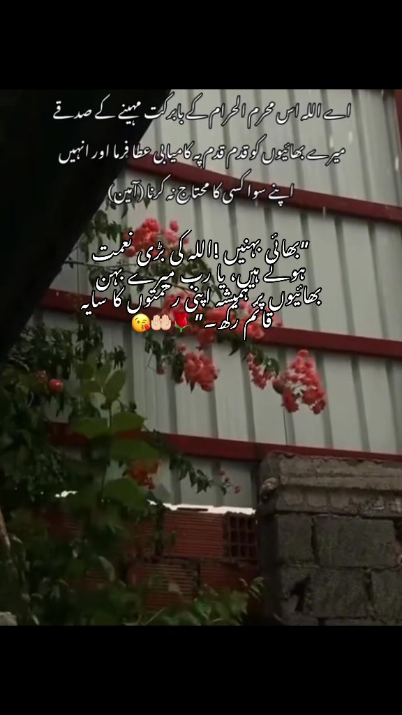 @🇺🇸Nimяa🌷Khan USA👸🏻💫