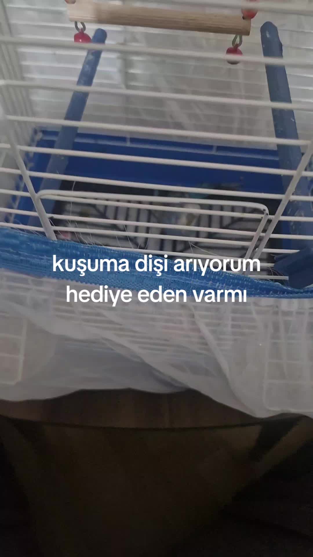 @yusuf0731