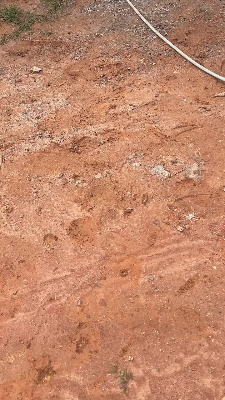 @monimau7