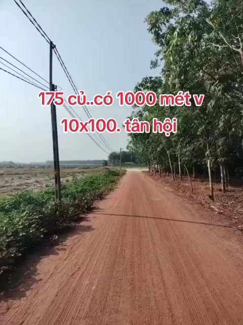 @phú sohs tổng hợp