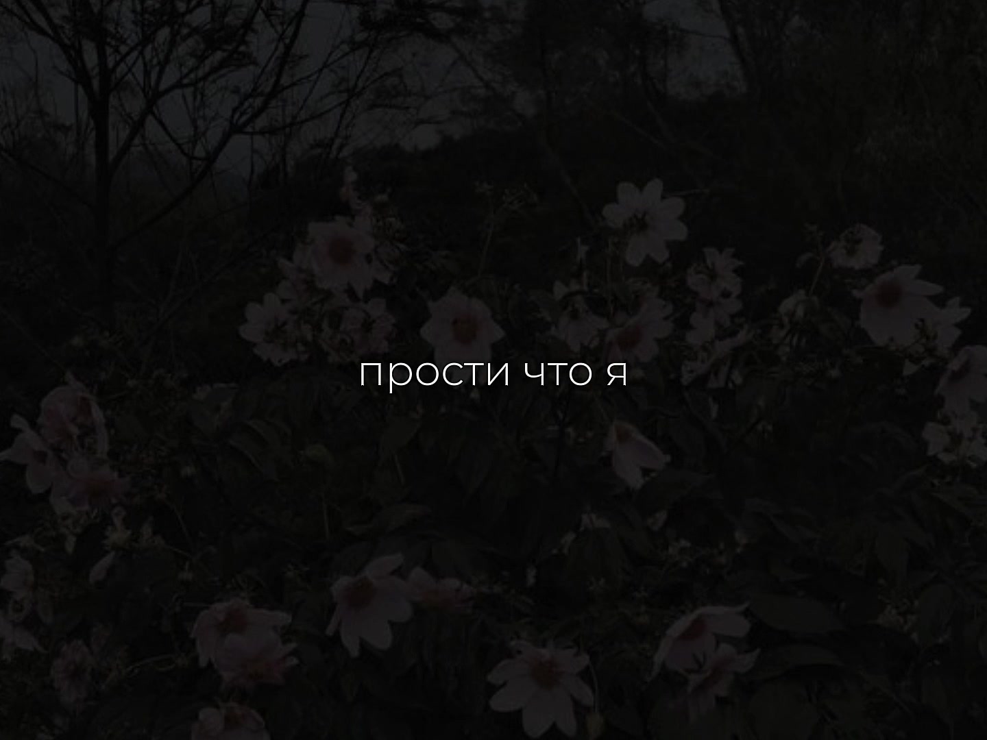 @𝒔𝒐𝒏𝒈 𝒍𝒊𝒑𝒔𝒊𝒏𝒈💋