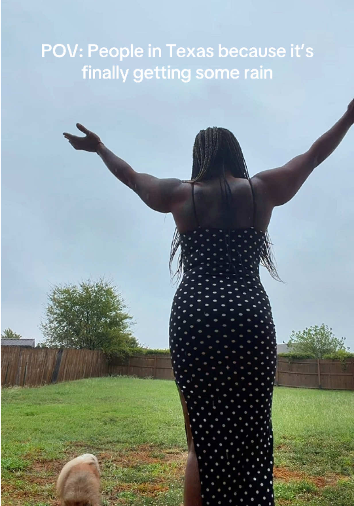 @prettybutwillbite
