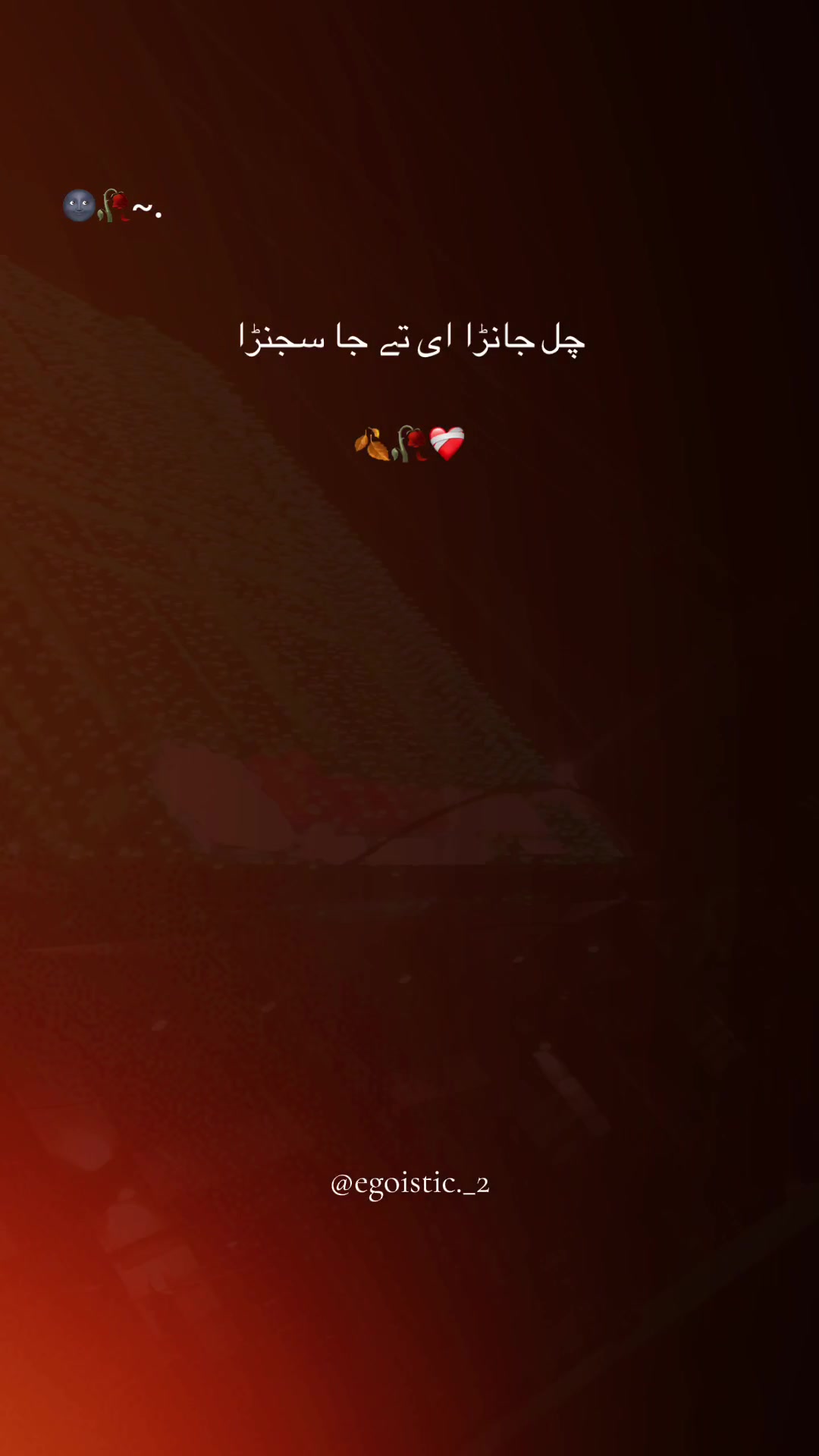 @Danaish Rajpoot 👩❤️💋👩🌹