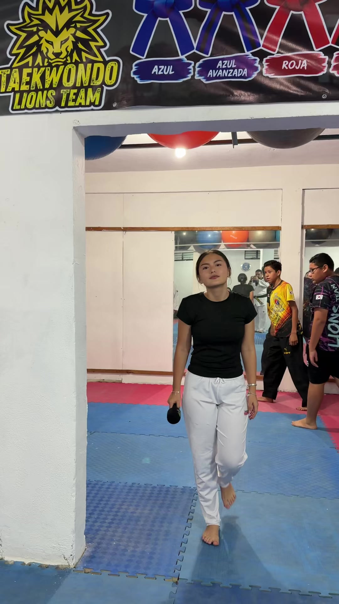 @taekwondolionsteam