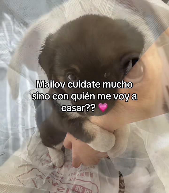 @yramyoliver