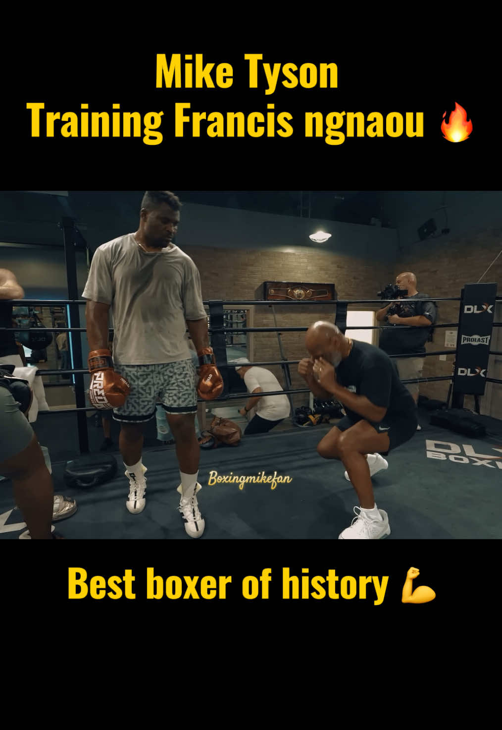 @boxingmikefan
