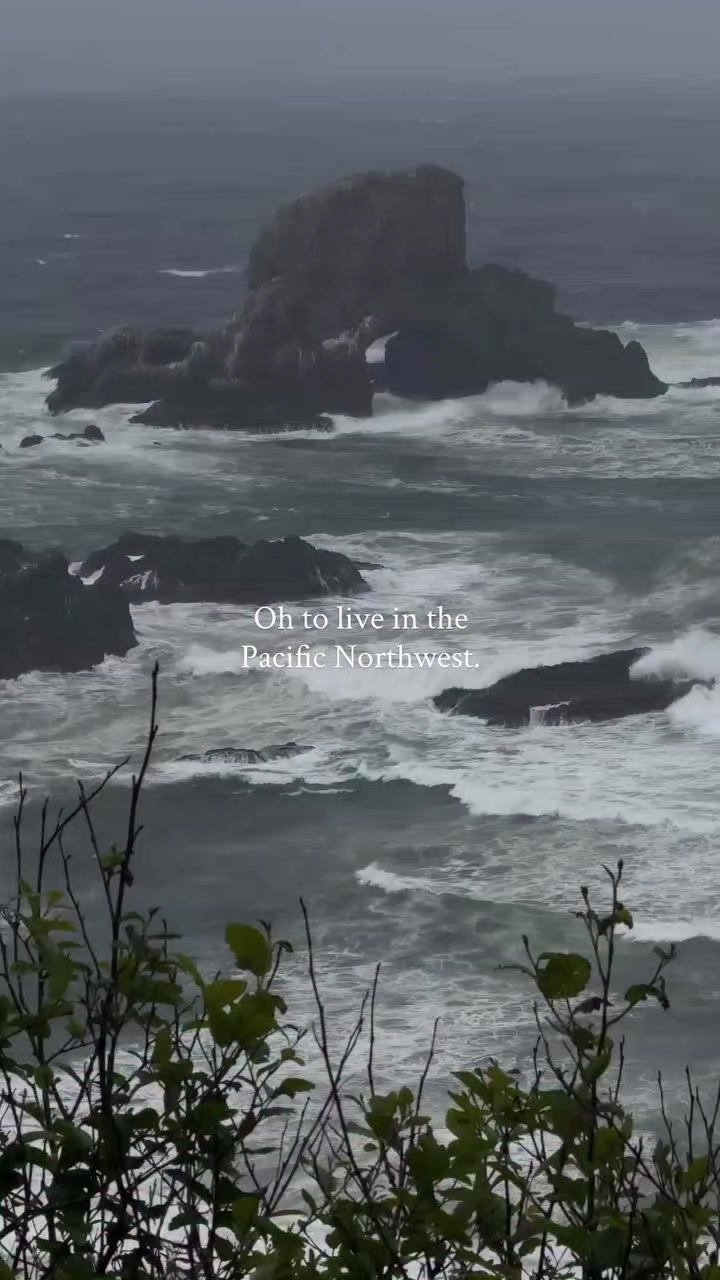 @lilyluna ᥫᩣ✨🌙