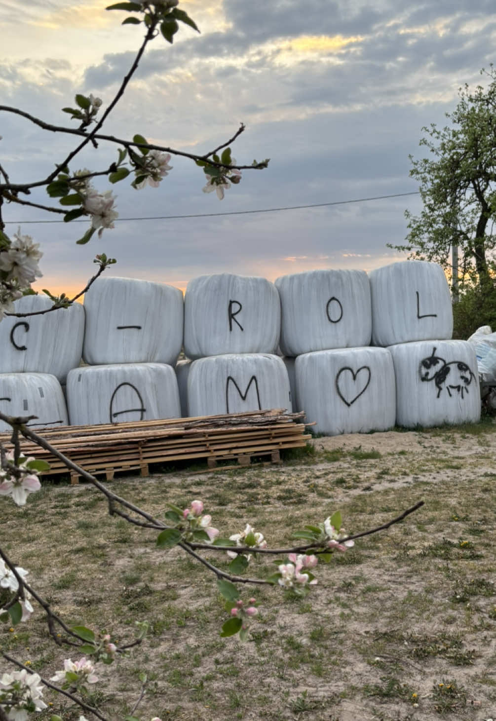 @𝕔𝕫𝕖𝕤𝕚𝕠 