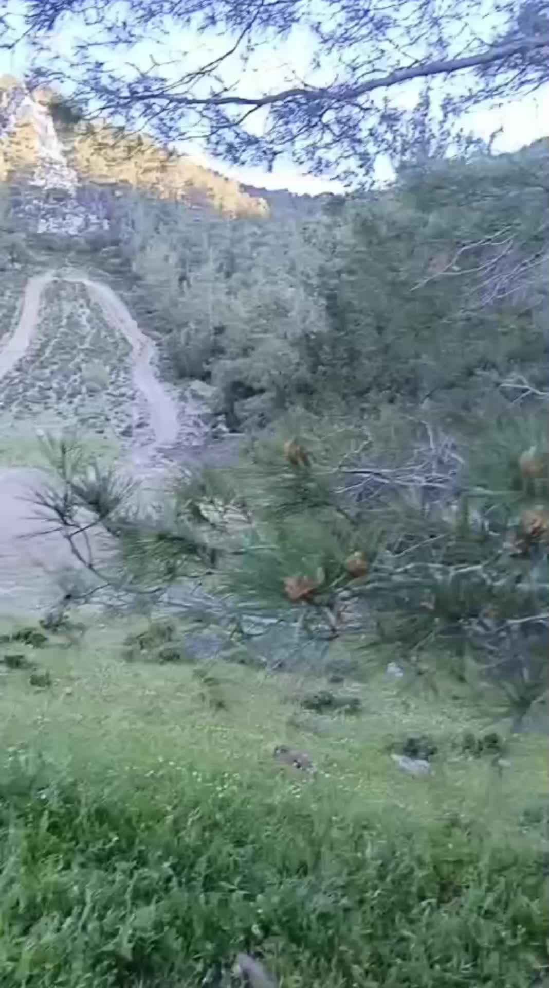 @Malik Bilal kalyami 🇨🇾🇹🇷