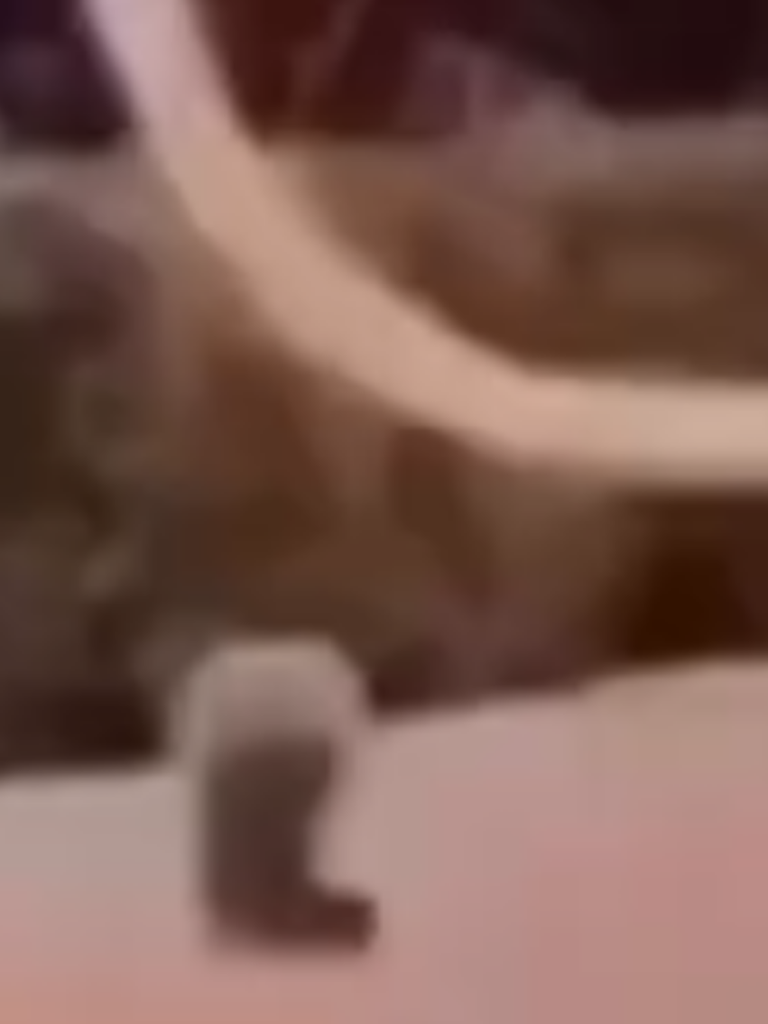 @๐ป๐๐๐๐ ๐ท๐๐๐๐ ๐น๐ฅ