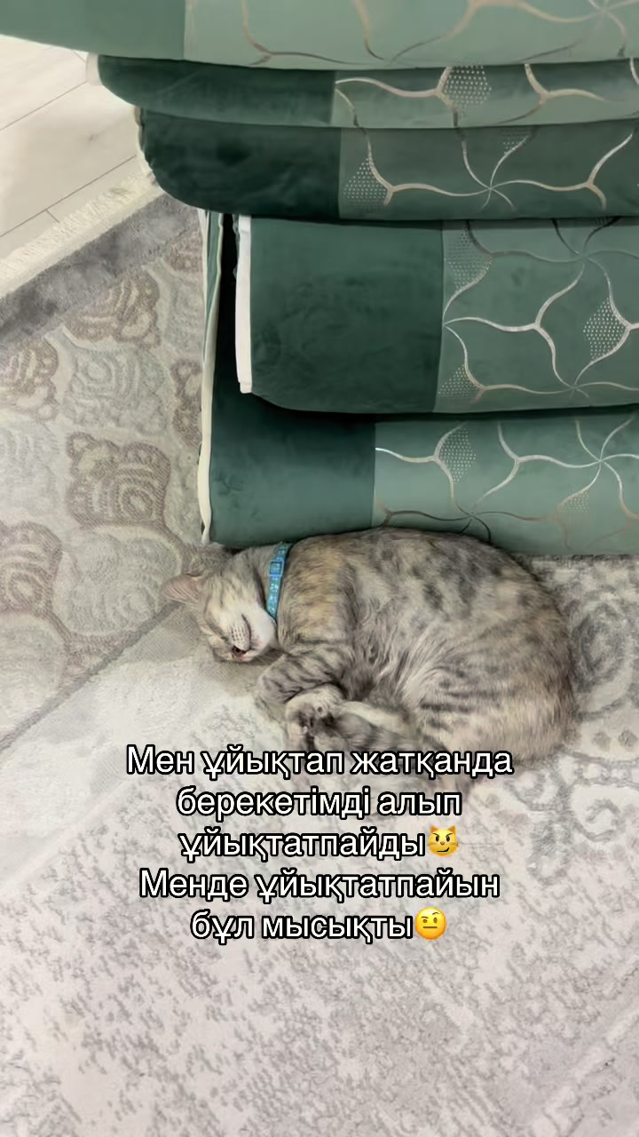 @boni04akx