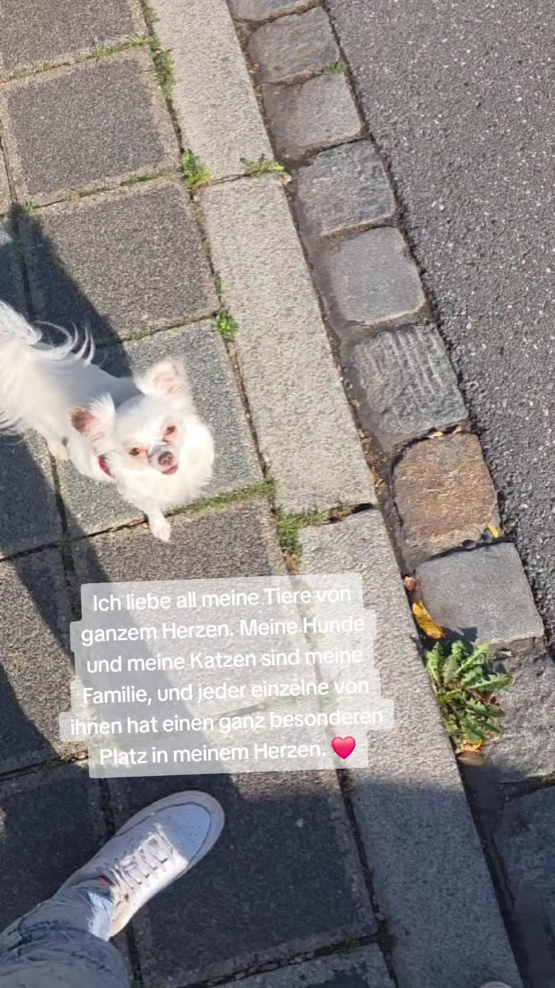 @Lost_Hope