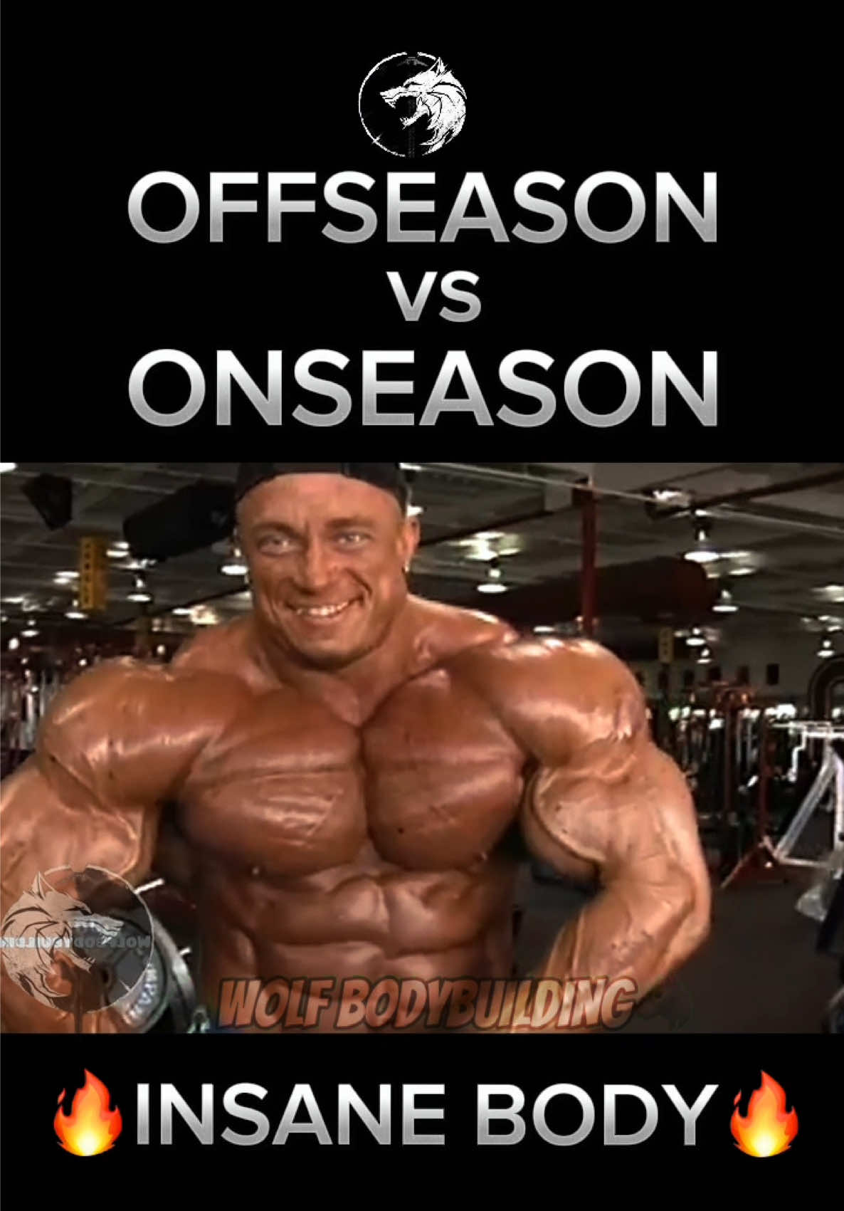 @wolfbodybuilding