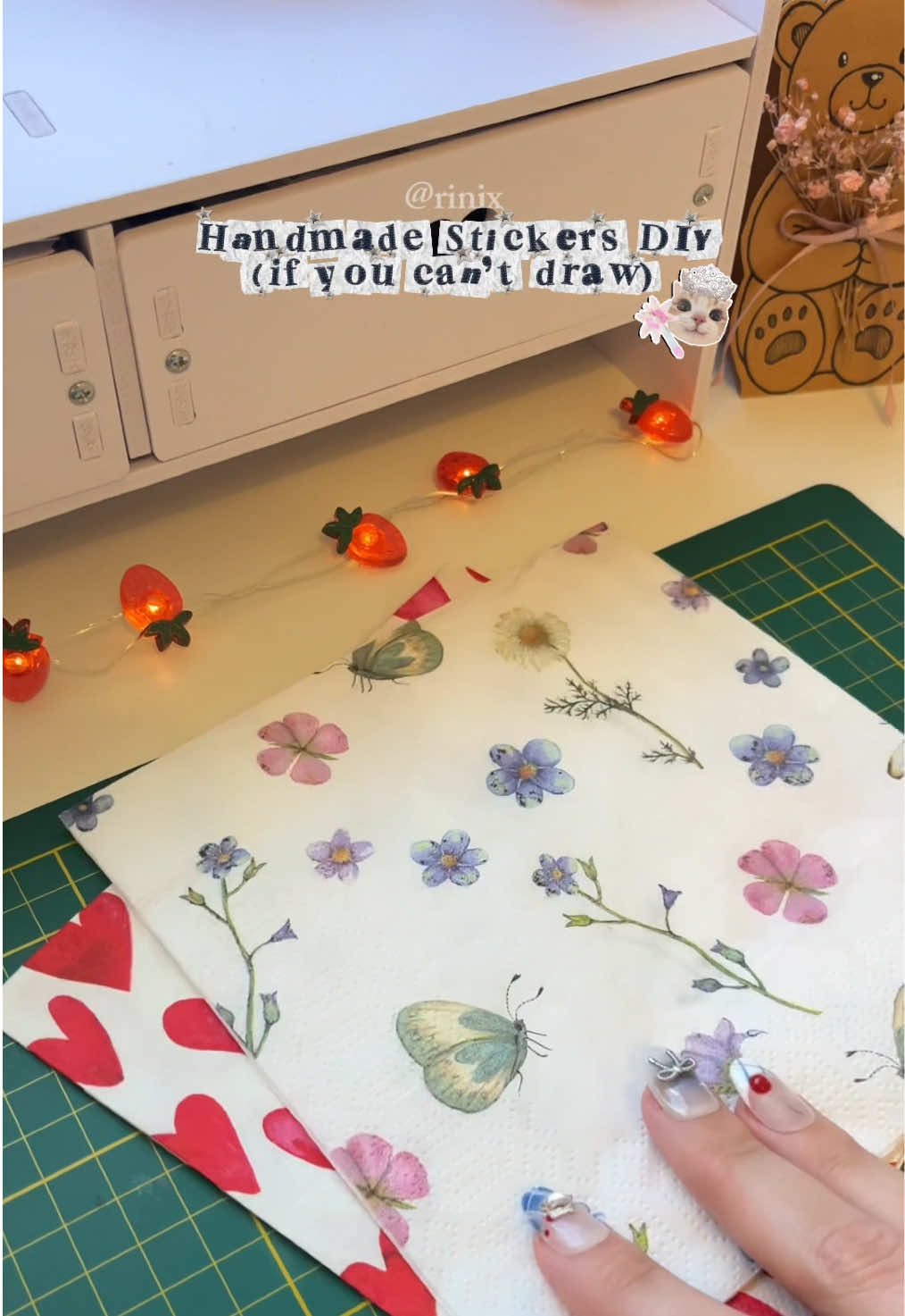 @rinix.diy