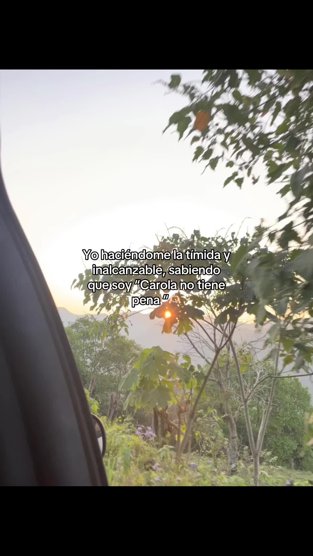 @🪩🐆