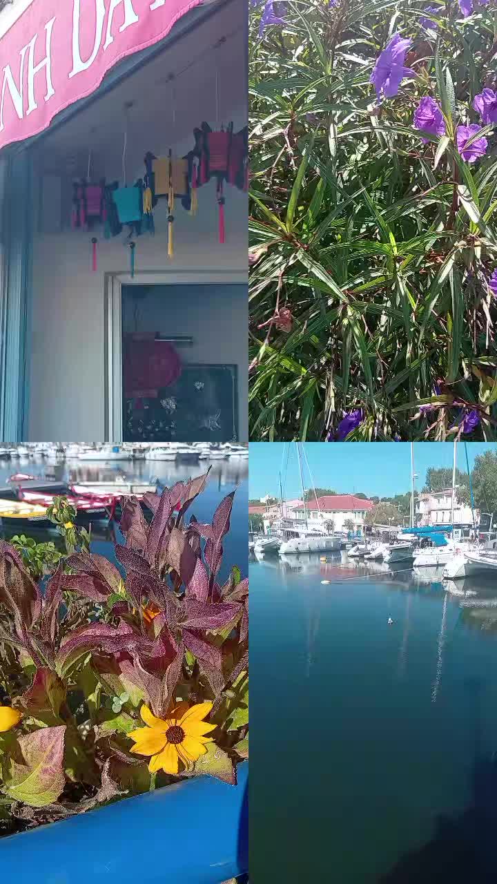 @𝘚𝘶𝘱𝘦𝘳 𝘗𝘩𝘪𝘯𝘰𝘶