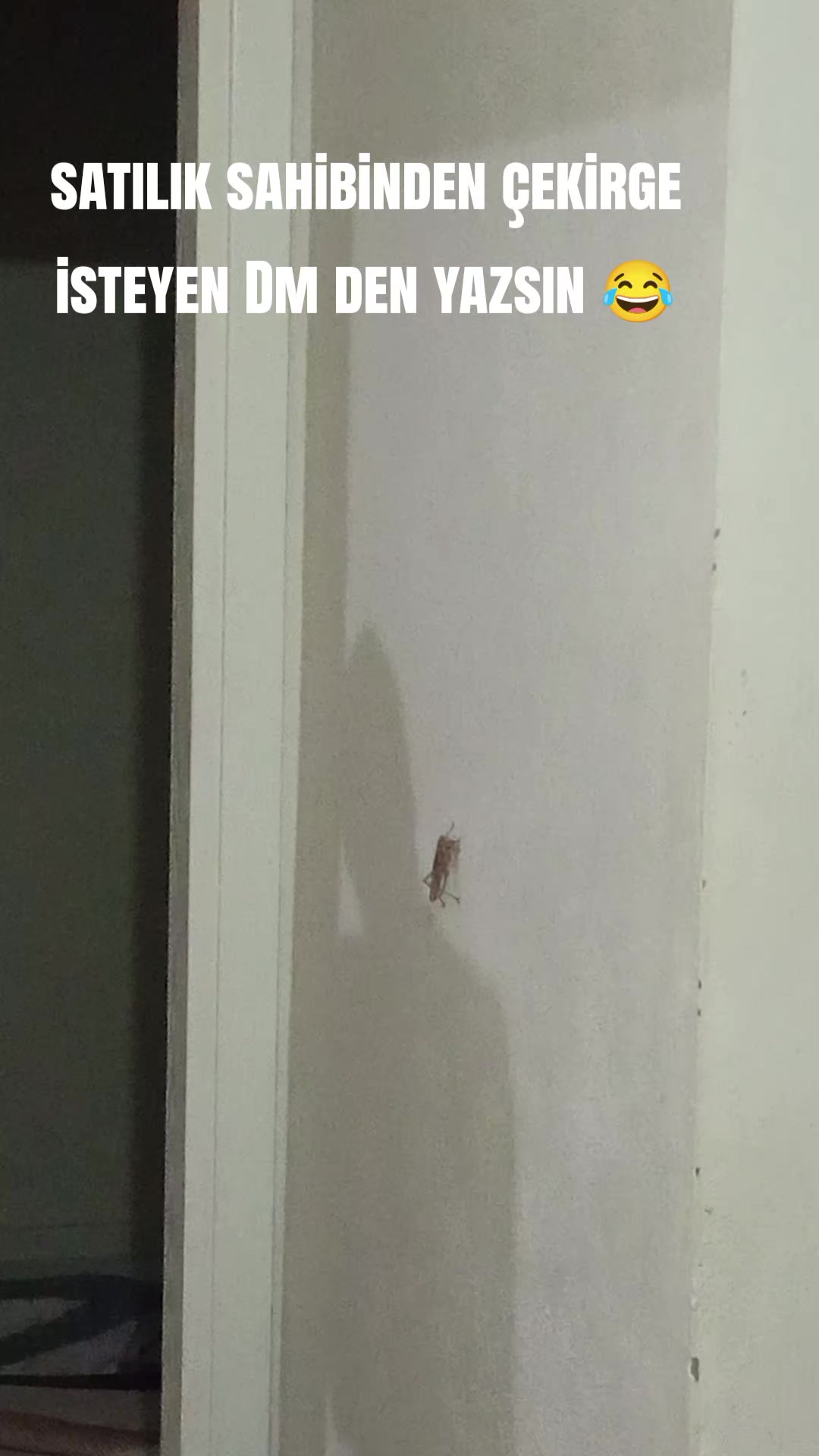 @Bulanık Gen&ccedil;lik
