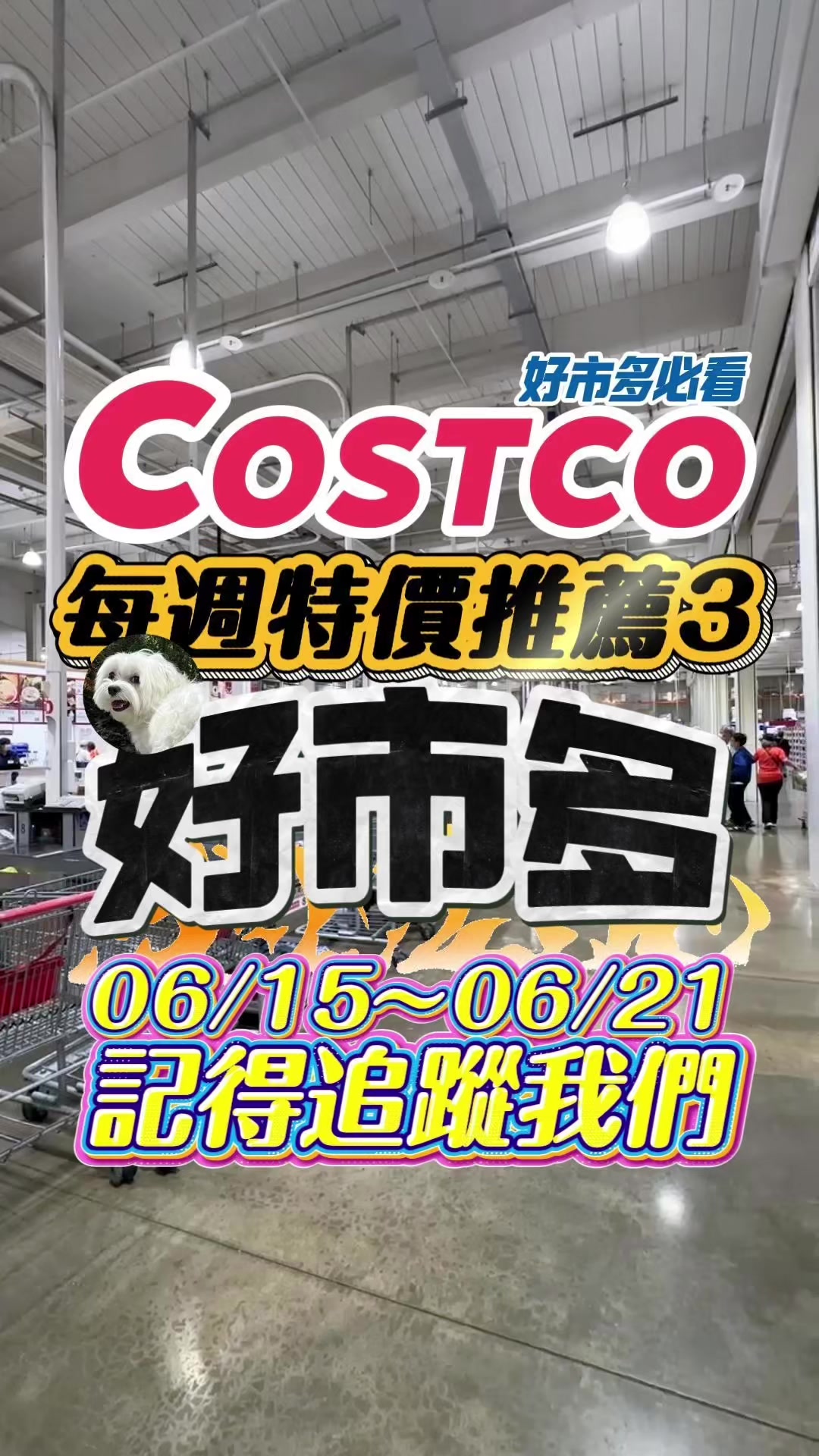 @Youtube搜尋🔍可可酒精