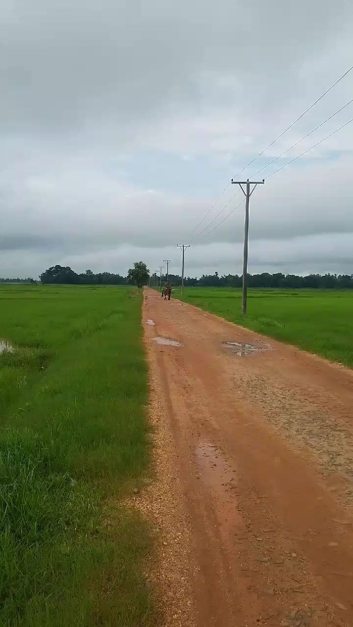 @💢ရှိုင်းလေး💢